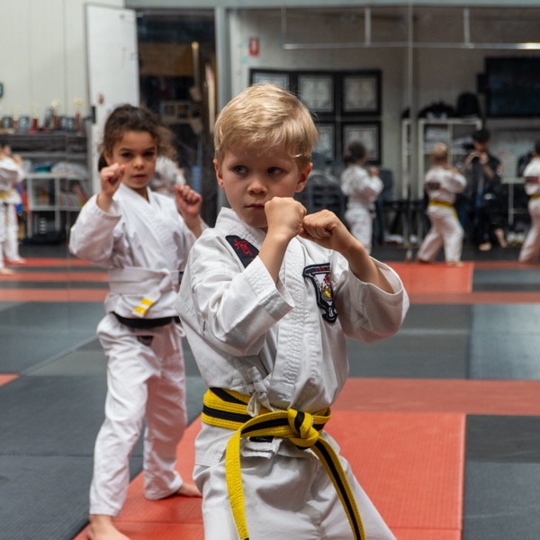 Little Dragons kids Kenpo 5.0 martial arts class — KICKS Martial Arts Newington